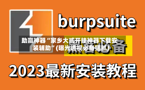 助赢神器“家乡大贰开挂神器下载安装辅助”(曝光透视必备猫腻)-第3张图片