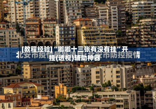[教程经验]“嘟嘟十三张有没有挂”开挂(透视)辅助神器-第2张图片