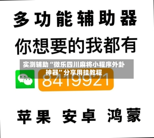 实测辅助“微乐四川麻将小程序外卦神器	”分享用挂教程-第2张图片