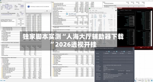 独家脚本实测“人海大厅辅助器下载”2026透视开挂-第2张图片