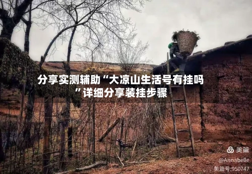 分享实测辅助“大凉山生活号有挂吗”详细分享装挂步骤-第2张图片