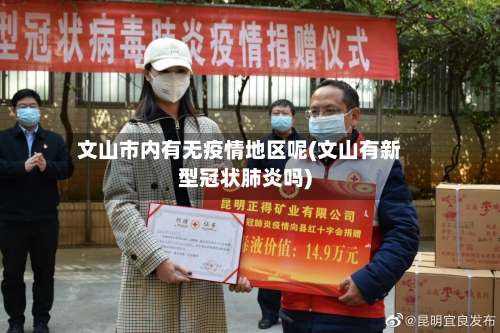 文山市内有无疫情地区呢(文山有新型冠状肺炎吗)