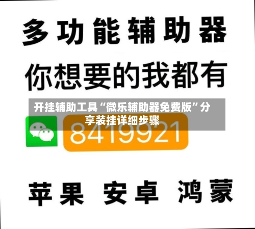 开挂辅助工具“微乐辅助器免费版”分享装挂详细步骤-第3张图片