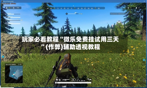 玩家必看教程“微乐免费挂试用三天”(作弊)辅助透视教程-第2张图片
