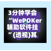 3分钟学会“WePOKer辅助软件挂”(透视)其实确实有挂-第3张图片