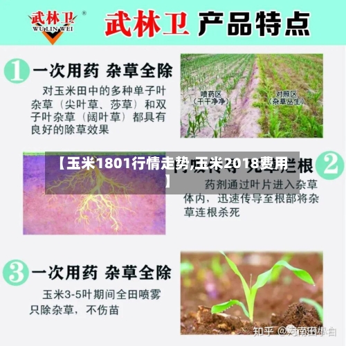 【玉米1801行情走势,玉米2018费用】