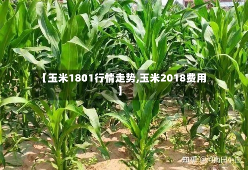 【玉米1801行情走势,玉米2018费用】-第2张图片