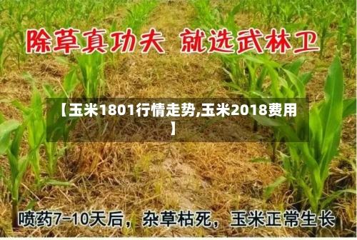 【玉米1801行情走势,玉米2018费用】-第3张图片