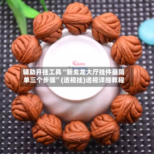 辅助开挂工具“新玄龙大厅挂件最简单三个步骤”(透视挂)透视详细教程-第2张图片