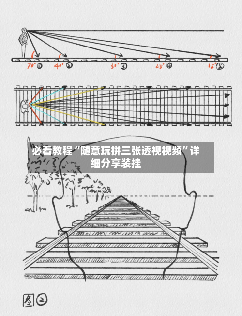必看教程“随意玩拼三张透视视频”详细分享装挂-第2张图片