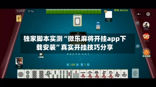 独家脚本实测“微乐麻将开挂app下载安装”真实开挂技巧分享-第3张图片