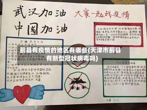 蓟县有疫情的地区有哪些(天津市蓟县有新型冠状病毒吗)-第3张图片