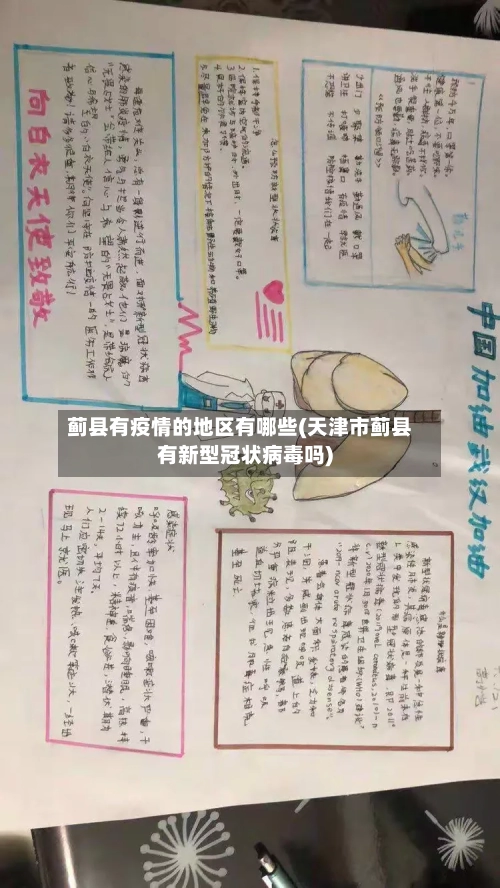 蓟县有疫情的地区有哪些(天津市蓟县有新型冠状病毒吗)-第2张图片