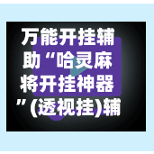 万能开挂辅助“哈灵麻将开挂神器”(透视挂)辅助透视教程-第3张图片