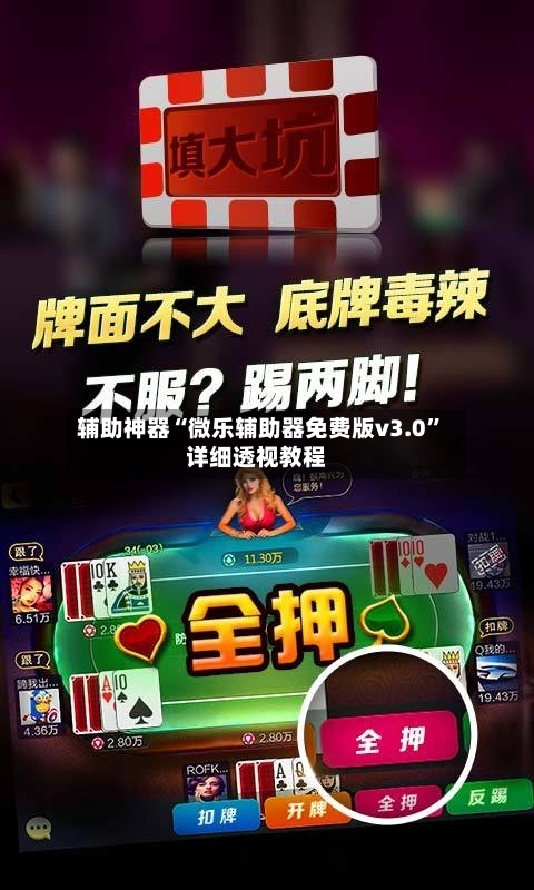 辅助神器“微乐辅助器免费版v3.0”详细透视教程