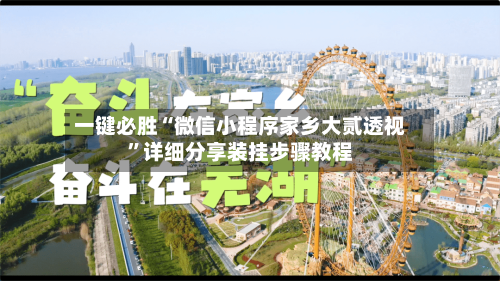 一键必胜“微信小程序家乡大贰透视”详细分享装挂步骤教程-第3张图片