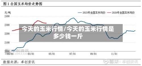 今天的玉米行情/今天的玉米行情是多少钱一斤-第2张图片