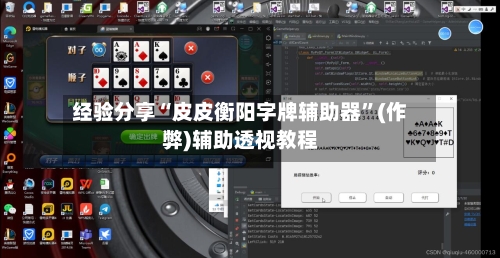 经验分享“皮皮衡阳字牌辅助器”(作弊)辅助透视教程