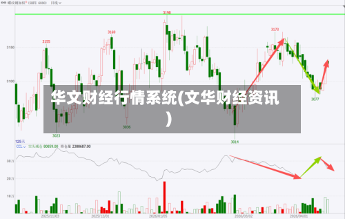 华文财经行情系统(文华财经资讯)-第2张图片