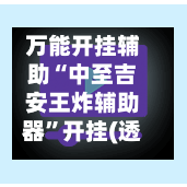 万能开挂辅助“中至吉安王炸辅助器	”开挂(透视)辅助教程-第2张图片