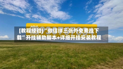 [教程经验]“微信拼三张外免费挂下载”开挂辅助脚本+详细开挂安装教程-第3张图片