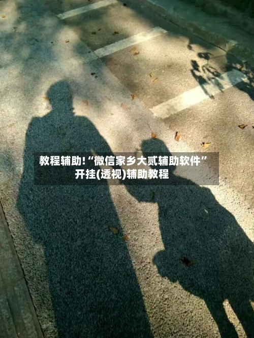 教程辅助!“微信家乡大贰辅助软件”开挂(透视)辅助教程-第3张图片