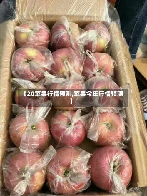 【20苹果行情预测,苹果今年行情预测】-第2张图片