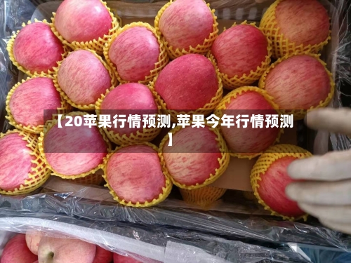 【20苹果行情预测,苹果今年行情预测】