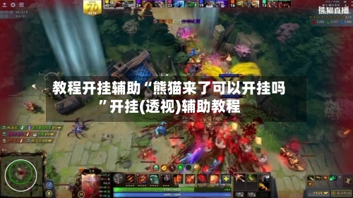 教程开挂辅助“熊猫来了可以开挂吗”开挂(透视)辅助教程-第3张图片