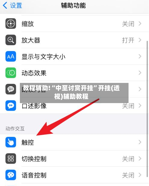 教程辅助!“中至讨赏开挂	”开挂(透视)辅助教程-第2张图片