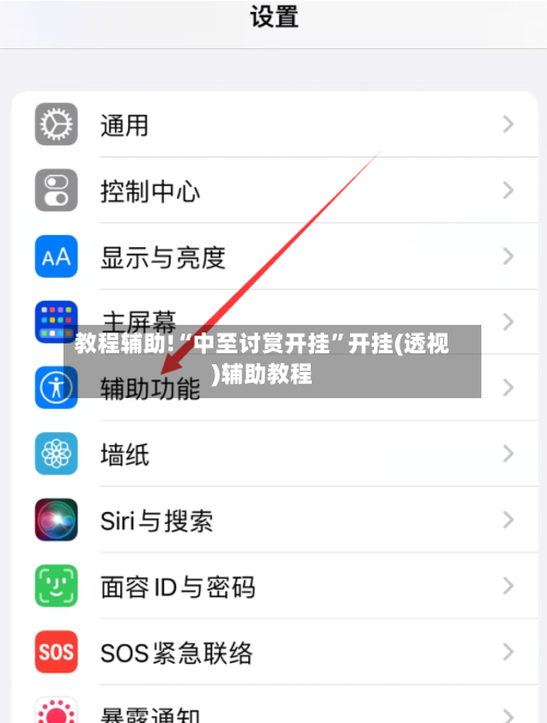 教程辅助!“中至讨赏开挂”开挂(透视)辅助教程-第3张图片