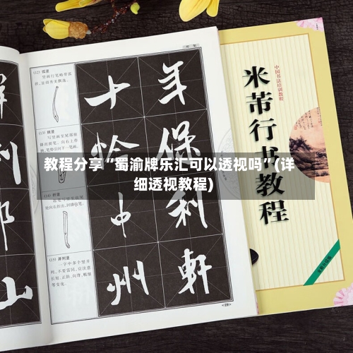 教程分享“蜀渝牌乐汇可以透视吗”(详细透视教程)-第2张图片