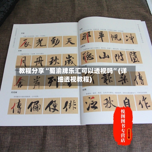 教程分享“蜀渝牌乐汇可以透视吗”(详细透视教程)