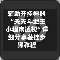 辅助开挂神器“天天斗地主小程序透视	”详细分享装挂步骤教程-第3张图片