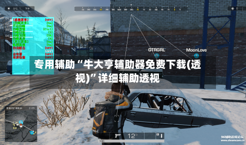 专用辅助“牛大亨辅助器免费下载(透视)”详细辅助透视-第3张图片