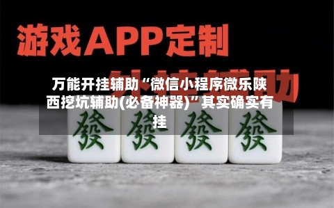 万能开挂辅助“微信小程序微乐陕西挖坑辅助(必备神器)”其实确实有挂