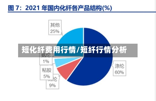 短化纤费用行情/短纤行情分析