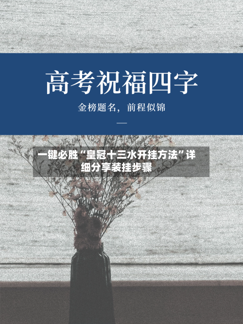 一键必胜“皇冠十三水开挂方法”详细分享装挂步骤-第2张图片