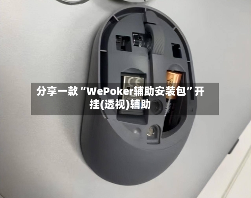 分享一款“WePoker辅助安装包	”开挂(透视)辅助-第3张图片