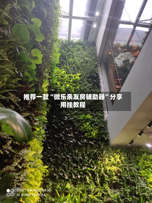 推荐一款“微乐亲友房辅助器	”分享用挂教程-第2张图片