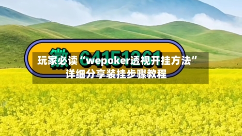 玩家必读“wepoker透视开挂方法”详细分享装挂步骤教程