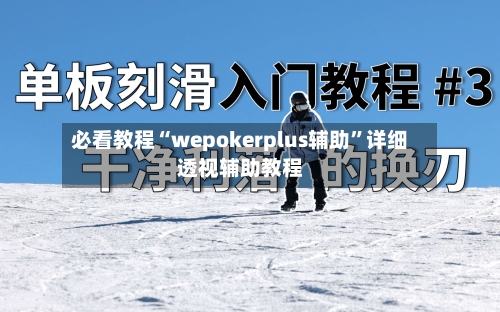 必看教程“wepokerplus辅助	”详细透视辅助教程-第2张图片