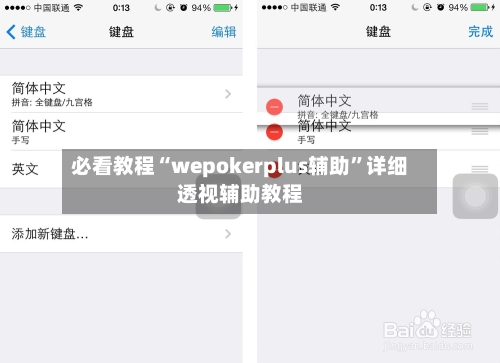 必看教程“wepokerplus辅助”详细透视辅助教程-第3张图片