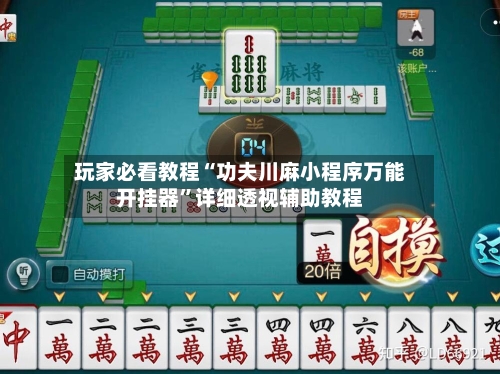 玩家必看教程“功夫川麻小程序万能开挂器	”详细透视辅助教程-第2张图片