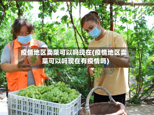 疫情地区卖菜可以吗现在(疫情地区卖菜可以吗现在有疫情吗)