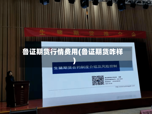 鲁证期货行情费用(鲁证期货咋样)-第2张图片