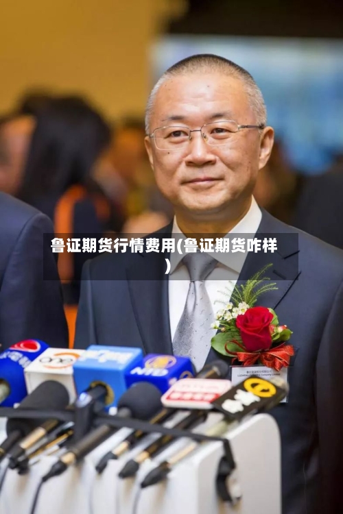 鲁证期货行情费用(鲁证期货咋样)