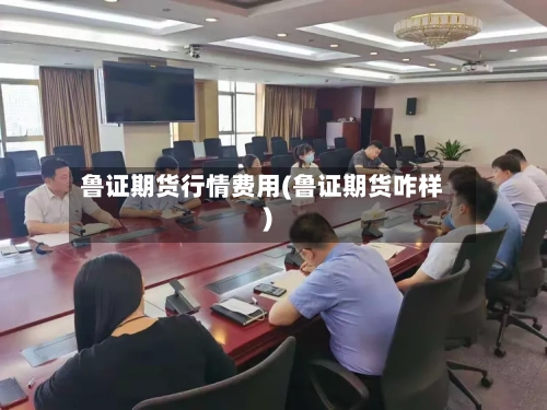鲁证期货行情费用(鲁证期货咋样)-第3张图片