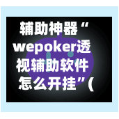 辅助神器“wepoker透视辅助软件怎么开挂”(透视)开挂辅助脚本+详细开挂安装教程