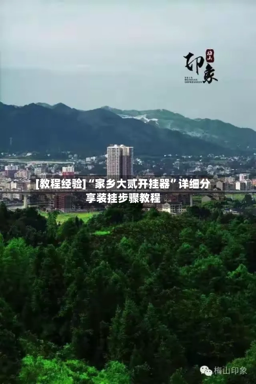 [教程经验]“家乡大贰开挂器”详细分享装挂步骤教程-第2张图片